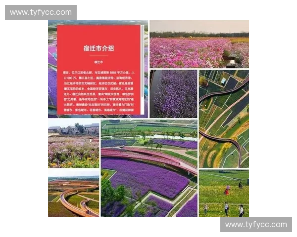 职业联赛体系建设与竞技水平提升的可持续发展路径研究