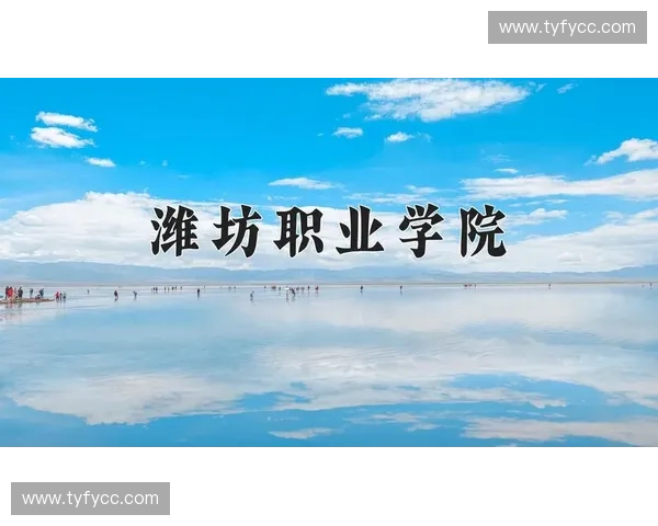 体育经纪行业创新发展与运动员职业生涯全方位管理研究